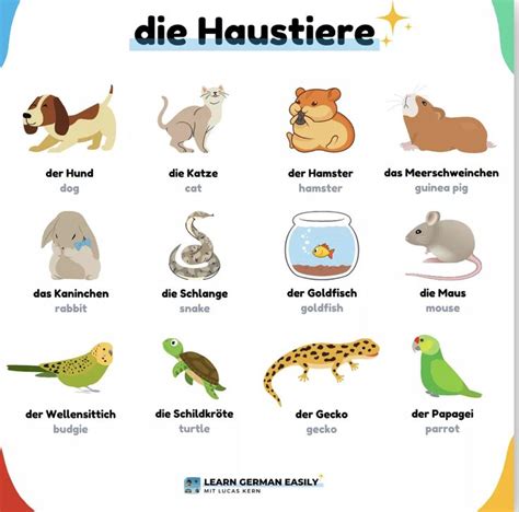 Pin By Cathy Cursos On Aleman Learn German German Language Learning