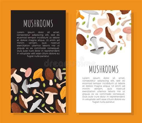 Mushrooms Web Banner Forest Edible Mushrooms Recipe Menu Label