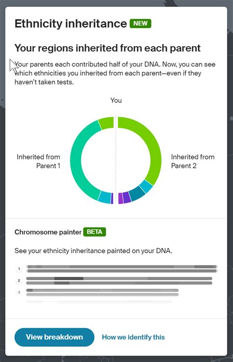 AncestryDNA Chromosome Painter | Dig Deeper into DNA Ethnicity - Your ...