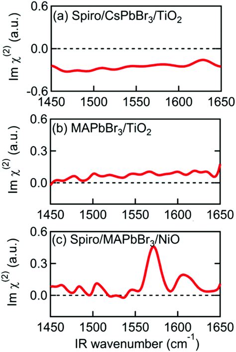 Preferred Orientations Of Organic Cations At Lead Halide Perovskite