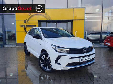 Opel Grandland X Business Edition 1 2 Turbo Benzyn Opinie I Ceny Na