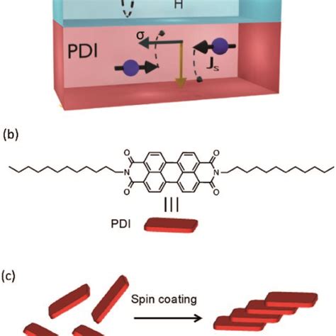 A Normalized Uv Vis Absorption Spectra Of Pdi In Chloroform Mg