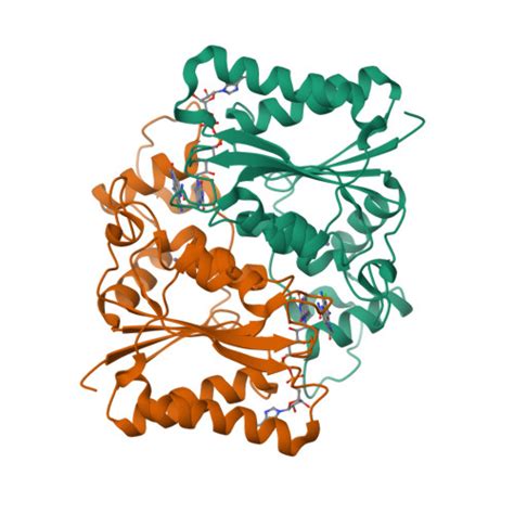 RCSB PDB 3UXH Design Synthesis And Biological Evaluation Of