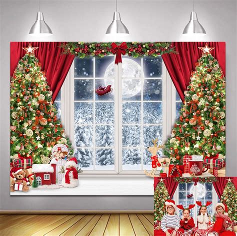 Christmas Window Photography Backdrop Winter Snowflakes