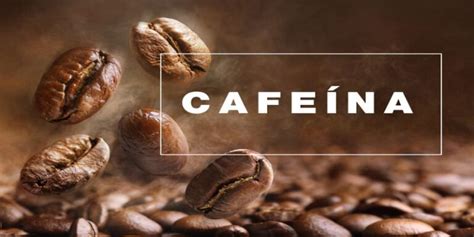 Cafeína Composición y Beneficios DIMATERIA