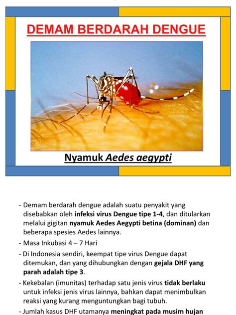 Pdf Materi Lembar Balik Dbd Demam Berdarah Dengue Dokumen Tips