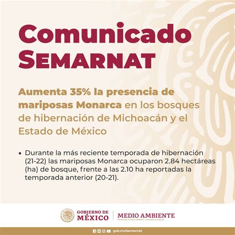 Semarnat México Di Twitter Comunicado 📌 El Trabajo De Guardians Del Territorio Para La