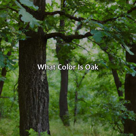 What Color Is Oak - colorscombo.com