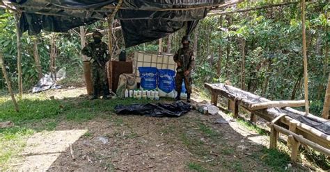 Hallan Ocho Manzanas Con Arbustos De Coca Y Laboratorio