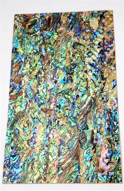 Natural Paua Abalone Adhesive Veneer Sheet Mother Of Pearl Etsy