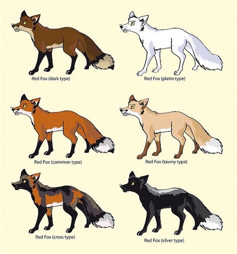 colour-variations of the "red" fox; vulpes vulpes | Fox breeds, Pretty ...