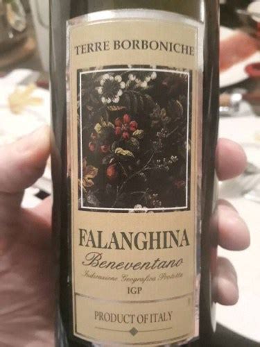 Domus Vini Terre Borboniche Falanghina Beneventano Vivino US