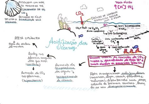 Mapas Mentais Sobre Ciclo Do Carbono Study Maps