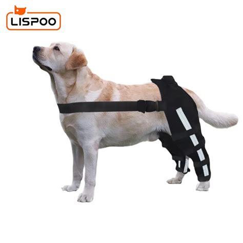 Dog Double Leg Brace - KindlyDogs