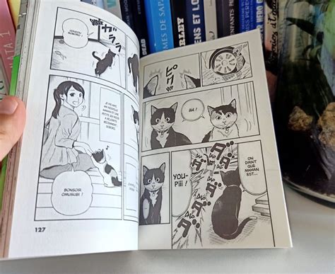 La Gameuse Et Son Chat T Liyah Fr Livre Enfant Manga Shojo Bd