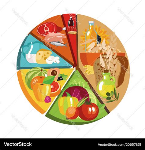 Food Pyramid Pie Chart Royalty Free Vector Image