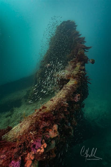 15 Great Australian Wreck Dives