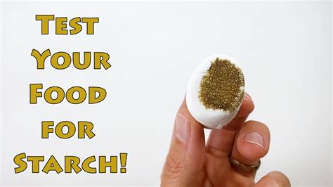 Test Your Foods For Starch STEM Activity YouTube