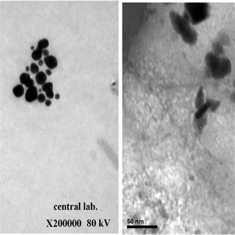 TEM Micrographs Of A The Nanocomposite And B Zinc Oxide