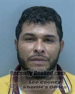 Recent Booking Mugshot For WALTER JOSE BRIONESARAUZ In Lee County