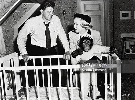 Bedtime For Bonzo Photos And Premium High Res Pictures Getty Images