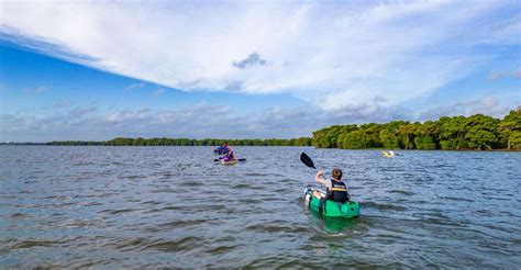 Sunrise Kayaking On The Negombo Lagoon