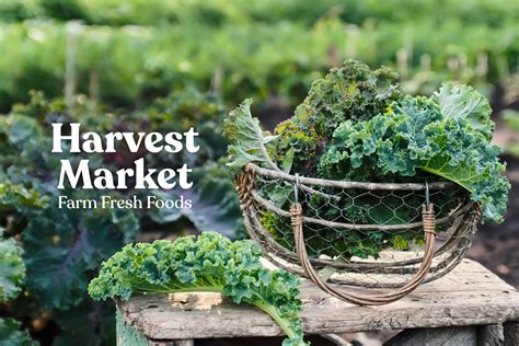 Harvest Market — The Artful Union