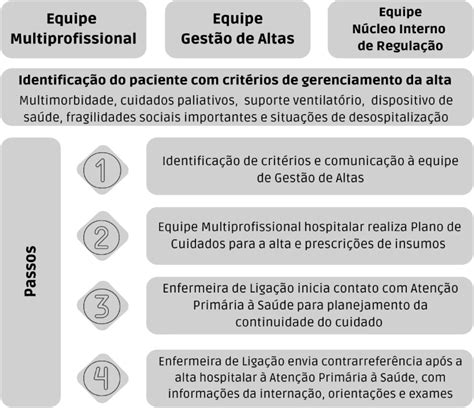 Scielo Brasil Modelo Complexo Hospital De Cl Nicas De Gest O De