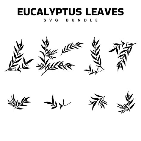 Eucalyptus Leaves SVG Designs – MasterBundles