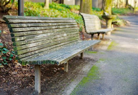 Park Bench perspective stock image. Image of resting - 28851703