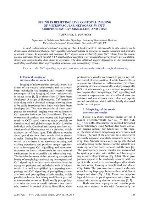 Pdf Seeing Is Believing Live Confocal Imaging Of Microvascular