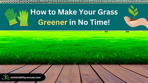 How To Make Your Grass Greener In No Time