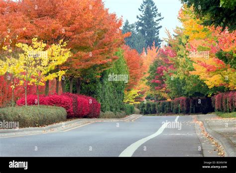 Wilsonville Highway Hi Res Stock Photography And Images Alamy