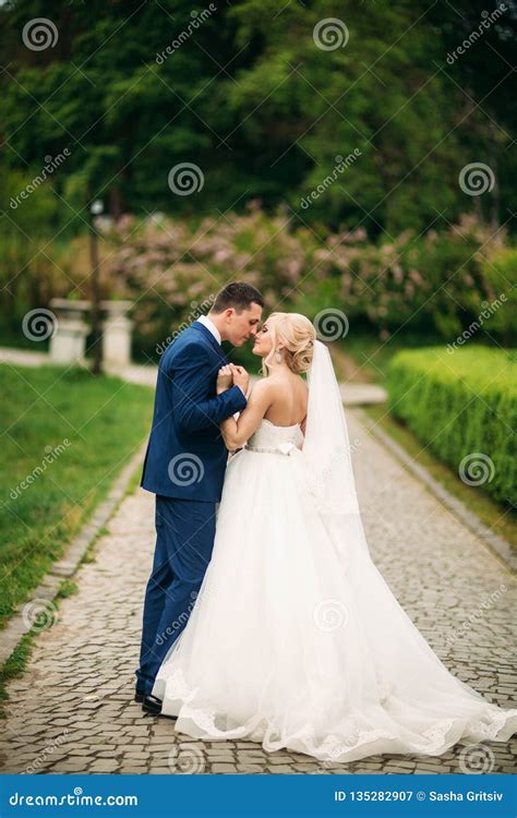 Pares Hermosos De La Boda Que Caminan En Parque Recienes Casados