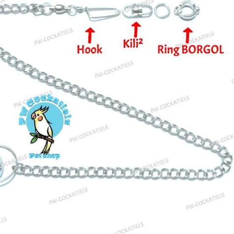 Jual Ring Borgol Kaki Burung Cincin Gelang Rantai Burung Nuri Kakatua