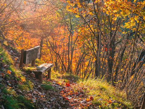 Parco Naturale Regionale Di Bric Tana I Sentieri Naturalistici Del