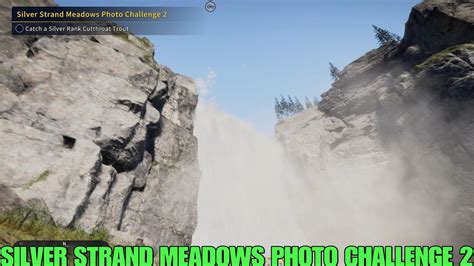 Silver Strand Meadows Photo Challenge 2 Catch A Sliver Rank Cutthroat