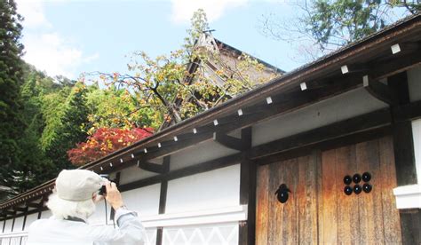 高野山麓 橋本新聞 真田幸村ゆかりの寺、渋柿色づく♪高野山・蓮華定院