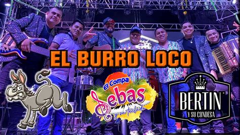 El Burro Loco Bertin Y Su Condesa Ft El Compa Sebas Y Su Teclado En