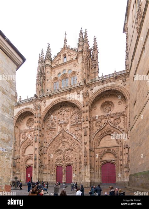 Facade Of The Gothic Cathedral Of Salamanca Stock Photo Alamy