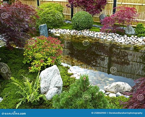 Traditional Japanese Water Garden with Plants, Shrubs, Rocks Stock Photo - Image of maple ...