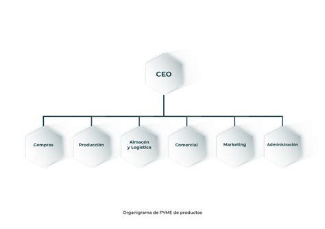 El Organigrama De Una Empresa Qué Es Y Cómo Desarrollarlo