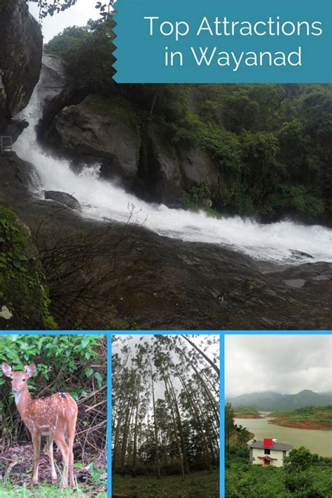 6 Attractions In Wayanad To Be Enjoyed During Monsoons