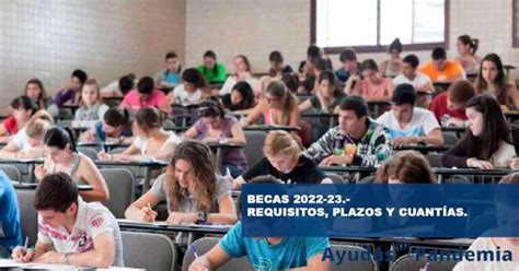 Solicitud De Becas Requisitos Plazos Y Cuantías