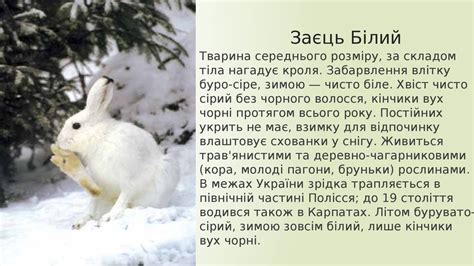 Рослини і тварини Сумщини занесені до Червоної книги України - online ...