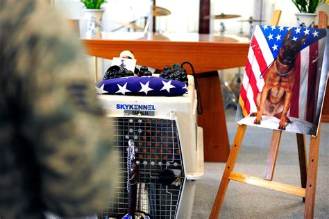 Kunsan Reflects During Memorial Service For Mwd Iian Kunsan Air Base