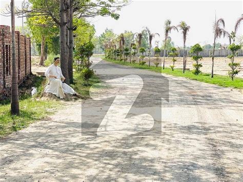 Year Plan Hot Location Farm House Land For Sale Bedian Road Lahore