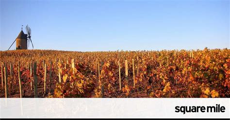 Win six bottles of Louis Jadot Chateau des Jacques Moulin à Vent 2010