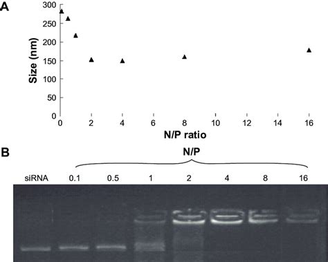 Particle Size And Gel Retardation Assay Notes A Particle Size And