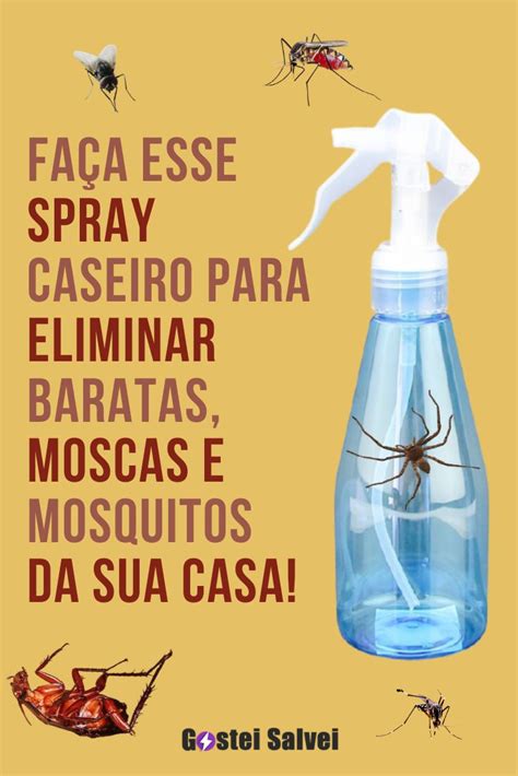 Fa A Esse Spray Caseiro Para Eliminar Baratas Moscas E Mosquitos Da